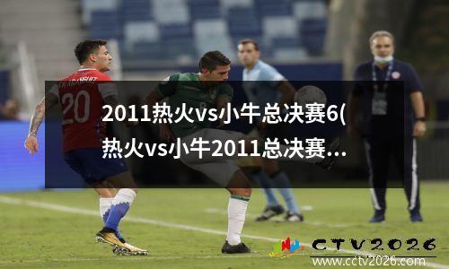 2011热火vs小牛总决赛6(热火vs小牛2011总决赛数据)