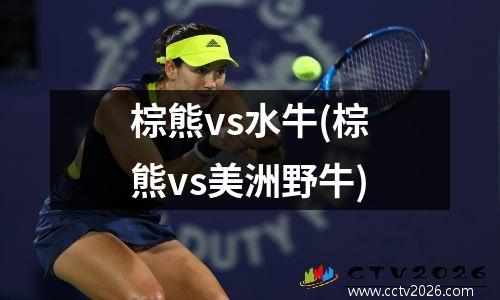 棕熊vs水牛(棕熊vs美洲野牛)