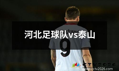 河北足球队vs泰山
