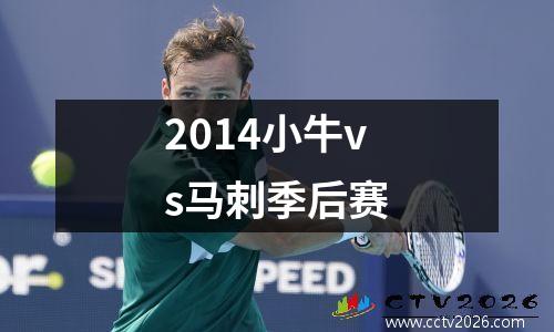 2014小牛vs马刺季后赛