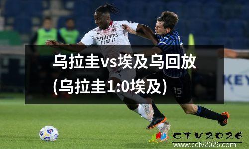 乌拉圭vs埃及乌回放(乌拉圭1:0埃及)