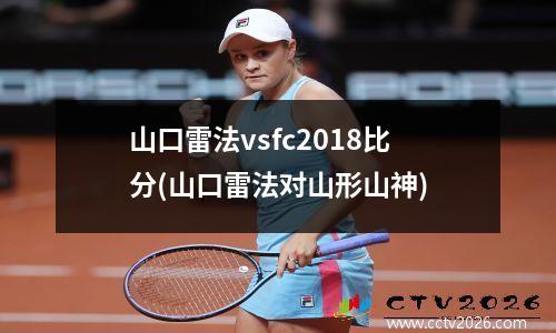 山口雷法vsfc2018比分(山口雷法对山形山神)