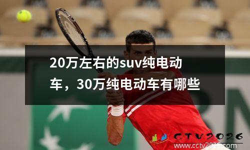 20万左右的suv纯电动车，30万纯电动车有哪些