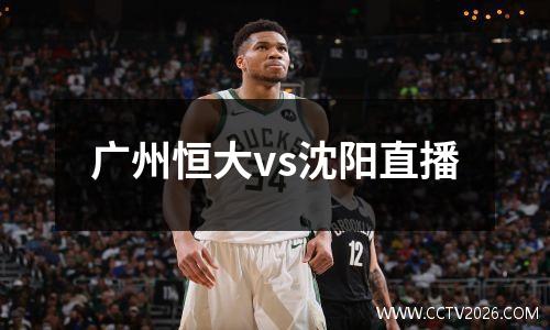广州恒大vs沈阳直播