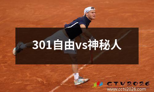 301自由vs神秘人