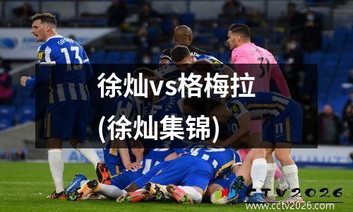 徐灿vs格梅拉(徐灿集锦)
