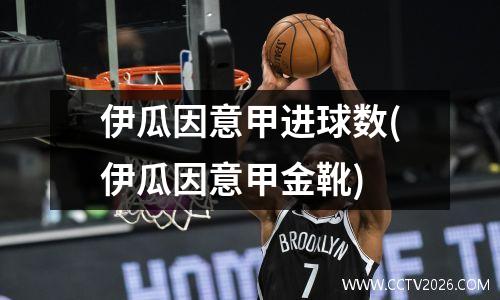 伊瓜因意甲进球数(伊瓜因意甲金靴)