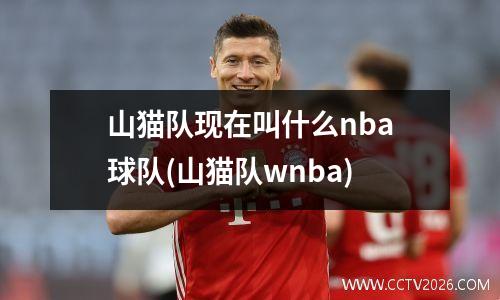 山猫队现在叫什么nba球队(山猫队wnba)