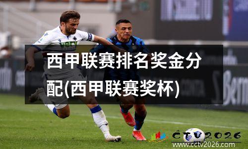 西甲联赛排名奖金分配(西甲联赛奖杯)