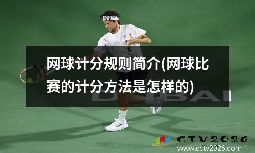 网球计分规则简介(网球比赛的计分方法是怎样的)