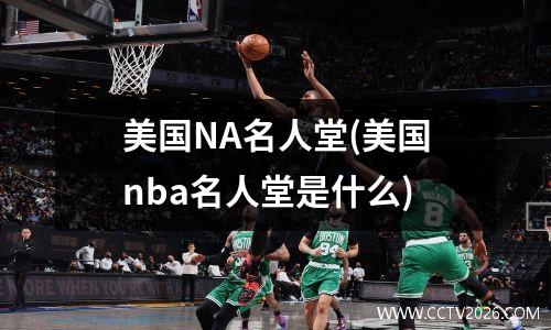 美国NA名人堂(美国nba名人堂是什么)