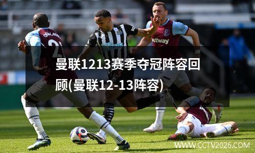 曼联1213赛季夺冠阵容回顾(曼联12-13阵容)