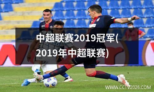 中超联赛2019冠军(2019年中超联赛)