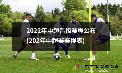 2022年中超晋级赛程公布(202年中超赛赛程表)
