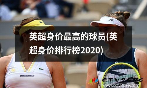 英超身价最高的球员(英超身价排行榜2020)