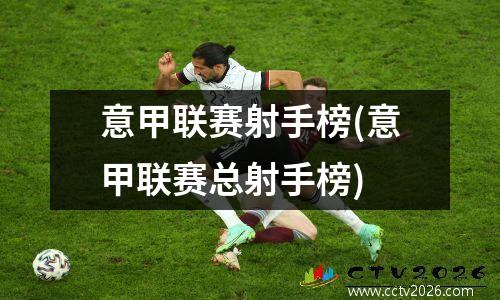 意甲联赛射手榜(意甲联赛总射手榜)