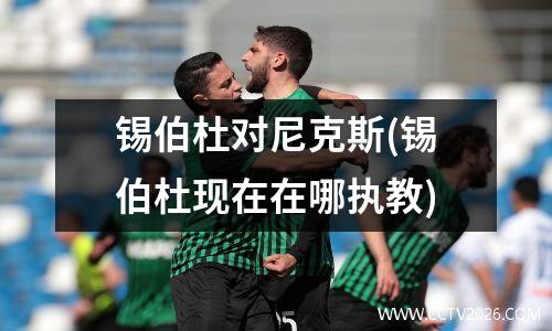 nba篮球推荐(推荐nba球员)