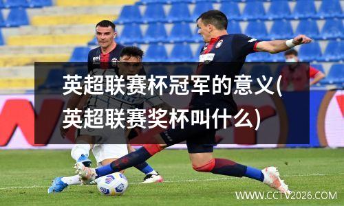英超联赛杯冠军的意义(英超联赛奖杯叫什么)