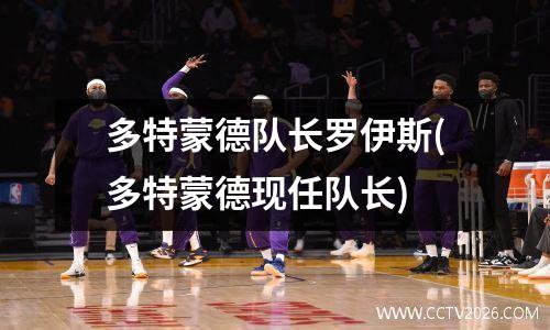 多特蒙德队长罗伊斯(多特蒙德现任队长)