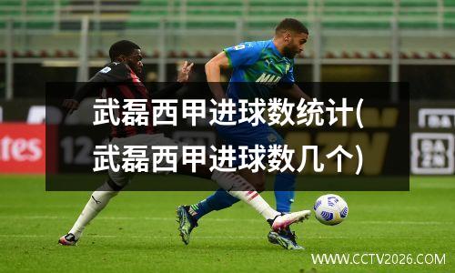 武磊西甲进球数统计(武磊西甲进球数几个)