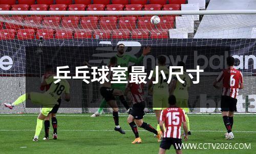 乒乓球室最小尺寸