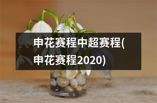 申花赛程中超赛程(申花赛程2020)