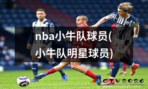 nba小牛队球员(小牛队明星球员)