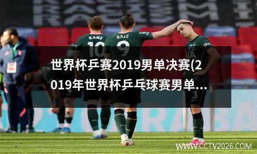 世界杯乒赛2019男单决赛(2019年世界杯乒乓球赛男单冠军是谁)