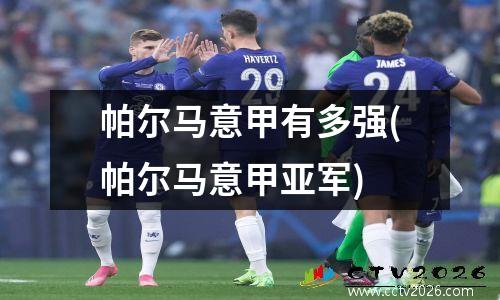 帕尔马意甲有多强(帕尔马意甲亚军)