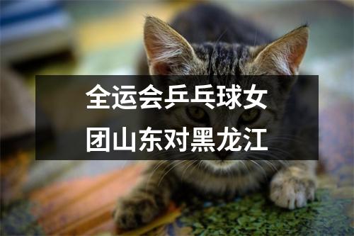全运会乒乓球女团山东对黑龙江