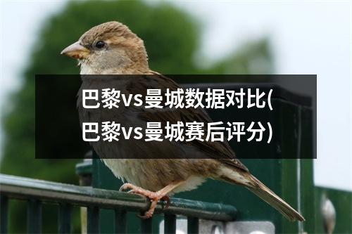 巴黎vs曼城数据对比(巴黎vs曼城赛后评分)