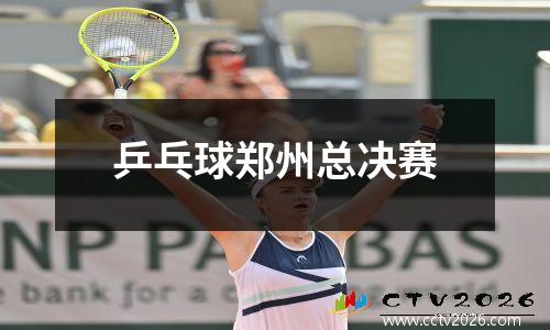 乒乓球郑州总决赛