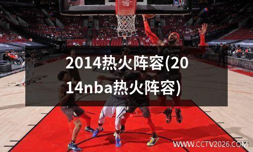 2014热火阵容(2014nba热火阵容)