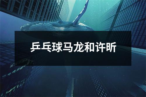 乒乓球马龙和许昕