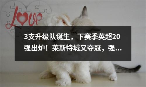 3支升级队诞生，下赛季英超20强出炉！莱斯特城又夺冠，强势回归