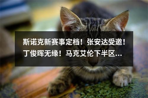 斯诺克新赛事定档！张安达受邀！丁俊晖无缘！马克艾伦下半区突围
