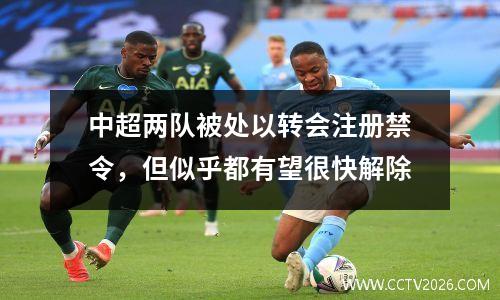中超两队被处以转会注册禁令，但似乎都有望很快解除