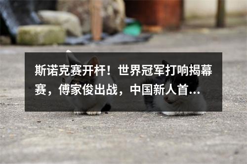 斯诺克赛开杆！世界冠军打响揭幕赛，傅家俊出战，中国新人首秀！