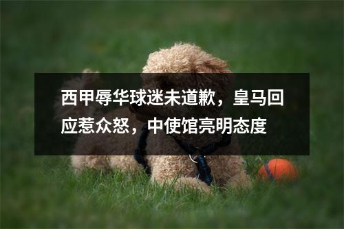 西甲辱华球迷未道歉，皇马回应惹众怒，中使馆亮明态度