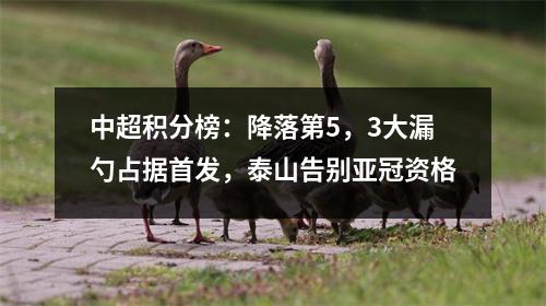 中超积分榜：降落第5，3大漏勺占据首发，泰山告别亚冠资格