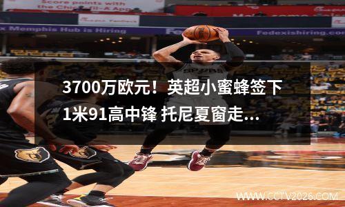 3700万欧元！英超小蜜蜂签下1米91高中锋 托尼夏窗走人成定局