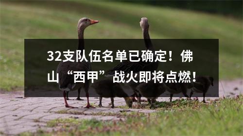 32支队伍名单已确定！佛山“西甲”战火即将点燃！