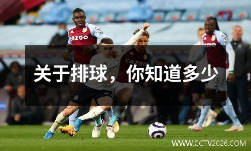 关于排球，你知道多少