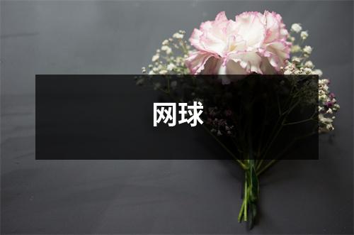 网球