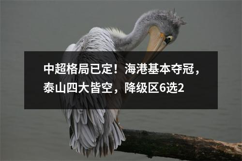 中超格局已定！海港基本夺冠，泰山四大皆空，降级区6选2