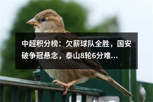 中超积分榜：欠薪球队全胜，国安破争冠悬念，泰山8轮6分难阻海港