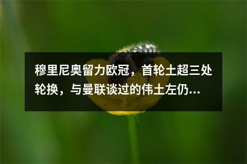 穆里尼奥留力欧冠，首轮土超三处轮换，与曼联谈过的伟土左仍上场