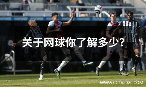 关于网球你了解多少？