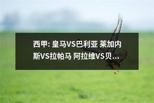 西甲: 皇马VS巴利亚 莱加内斯VS拉帕马 阿拉维VS贝蒂斯 马竞VS赫罗纳