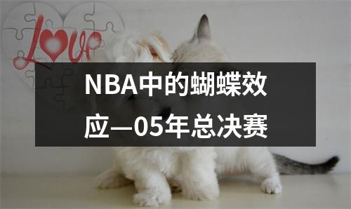 NBA中的蝴蝶效应—05年总决赛